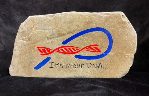 Buffalo Sports Fan DNA