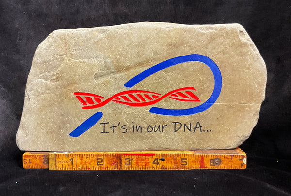 Buffalo Sports Fan DNA
